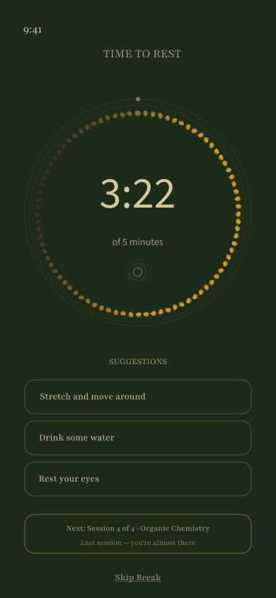 Fokus break timer